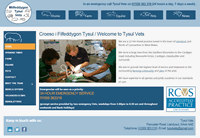 screenshot of the Tysul Vets website
